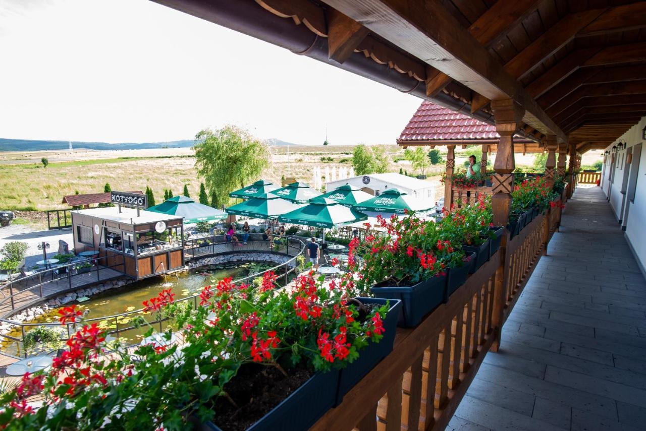 Bed and Breakfast Kotyogo Panzio Lupeni  Exterior foto